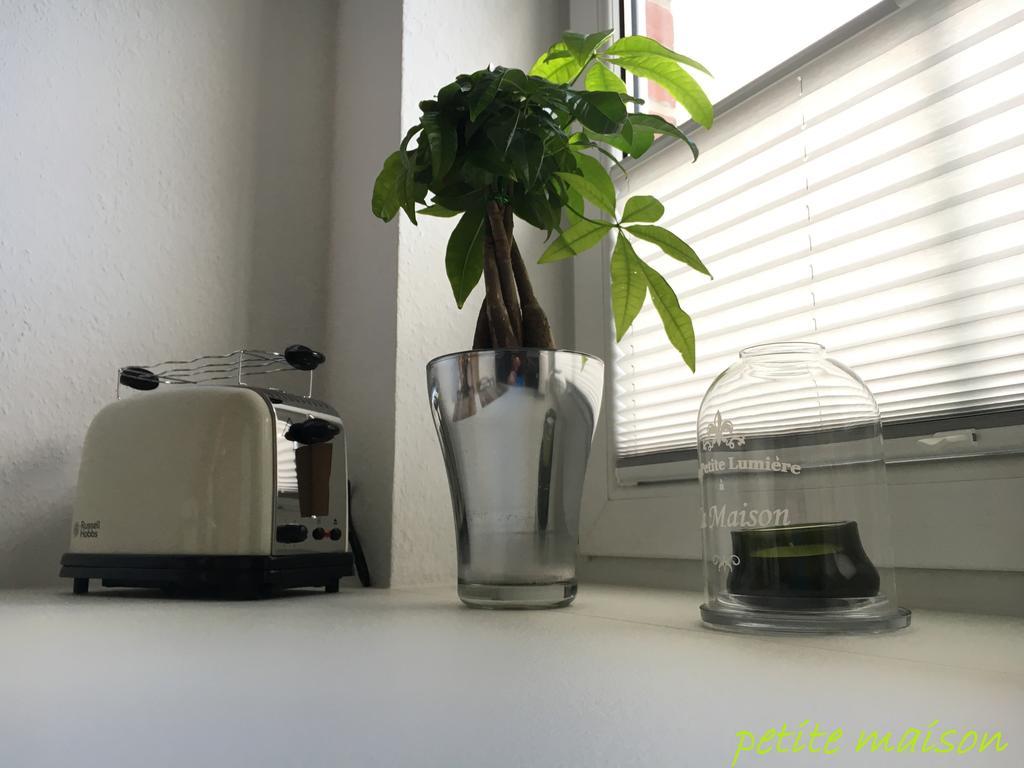 Petite Maison *